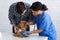 Veterinary doctor checking Yorkshire terrier`s heartbeat at animal clinic