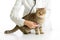 Veterinary doctor with stethoscope and cat