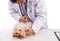 Veterinary doctor vaccinating puppy dog on white background