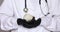 Veterinary doctor in white smock holding white rat
