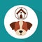 Veterinary dog care house dog icon