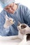 Veterinary giving an injection at a cat