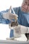 Veterinary giving an injection at a cat