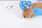 Veterinary hands with blue glove check or analysis little brown rabbit ear and put it on white table