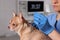 Veterinary holding acupuncture needle near dog`s neck in clinic, closeup. Animal treatment