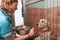 Veterinary Nurse Feeding Dog In Cage