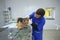 At the veterinary office. Veterinarian vetting stray dog lying on the med table