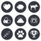 Veterinary, pets icons. Dog paw, syringe signs