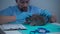 Veterinary service in clinic. Veterinarian examining small cat with stethoscope in clinic table. Vet doctor examining