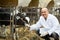 Veterinary technician taking care of calves