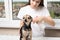 Veterinary treatment of a pet against ticks, fleas, parasites. Girl sprays a dog from a spray for diseases