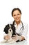 Veterinary woman with spaniel