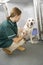 Vetinary Nurse Checking Sick Animals In Pens