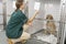 Vetinary Nurse Checking Sick Animals In Pens