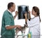 Vets examining a Chihuahua\'s radiography