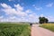 Veverske Kninice, Czech republic - June 02, 2018: Spring moravian landscape with path between flowering fields with black car Opel