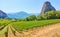 Vew of vineyard near Kastraki village in Greece