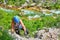 Via ferrata in Croatia, Cikola Canyon. Young woman climbing a medium difficulty klettersteig, with Cikola river turquoise colors.