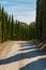 Via Francigena mud road with cypress trees on the both sides of the track.