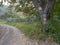 Via Transilvanica trail in Mehedinti Mountains, Romania, Europe