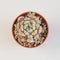 Viant echeveria plant on white background , top view rare succulent