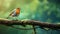 Vibrant 8k Resolution Robin On Wood Branch With Moss - Stunning Nature Photography