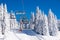 Vibrant active people winter image with skiers on ski lift, snow pine trees, blue sky