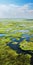 Vibrant Aerial View Of Marsh: Real Photos Of Romanticized Wilderness