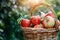 Vibrant apple orchard in blossom baskets overflowing with crisp red, green, and yellow apples