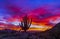 Vibrant Arizona Sunrise Landscape With Cactus Silhouette