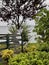 Vibrant art piece depicting Mustafa Kemal Ataturk stands in a lush garden in Giresun, Turkey