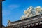 Vibrant Asian-style rooftop with white blossoms and a lush green tree in the background