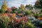 Vibrant Autumn Garden Landscape