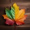 Vibrant Autumn Leaf On Dark Wooden Background