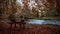 Vibrant autumn shot of the bench on the Tagus riverbank in Trillo small town, Spain