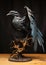 Vibrant Avian Artistry: A Closeup Look at a Fiery Sculptor\\\'s Mas