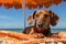 Vibrant beach illustration. dog relaxing in sun with sunglasses under colorful umbrella