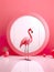 Vibrant beauty of flamingos in a minimalist studio setup, showcasing their elegance and grace