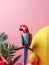 Vibrant beauty of a parrot in a minimalist studio setup,