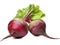 Vibrant Beetroot with Lush Leaves: Nature\\\'s Colorful Delight