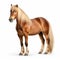 Vibrant Belgian Horse With Long Hair On White Background