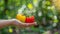 Vibrant bell peppers held in hand against blurred background, copy space available