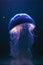 Vibrant bioluminescent jellyfish in dark blue water, generative ai