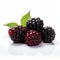 Vibrant Blackberry Product Photography On White Background