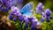 Vibrant Blue Butterfly Resting On Purple Flowers