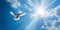 Vibrant Blue Sky With A White Dove Soaring Freely Amidst Sunbeams And Clouds