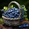 Vibrant Blueberry Basket: Caras Ionut Inspired Artwork