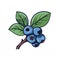 Vibrant Blueberry Icon: Comic Book Style Illustration With Organic Flair