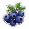 Vibrant Blueberry Sticker With Astn Ilustrac Asti
