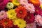 A vibrant bouquet of chrysanthemums in different hues.